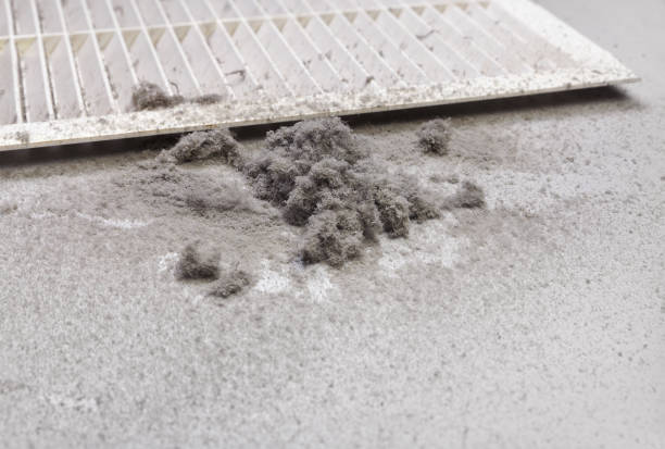 Best Home Air Vent Cleaning  in Clyde, NC
