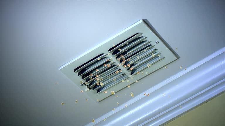 Best Professional Duct Cleaning Services  in Clyde, NC